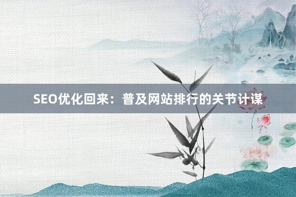 SEO优化回来：普及网站排行的关节计谋