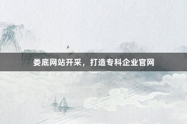 娄底网站开采，打造专科企业官网
